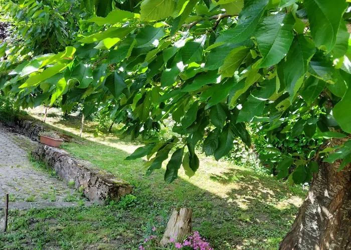 Pretyroom P * Бондуфль